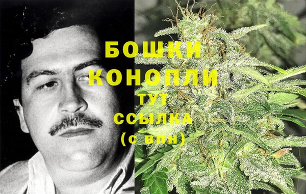 стаф Богородицк
