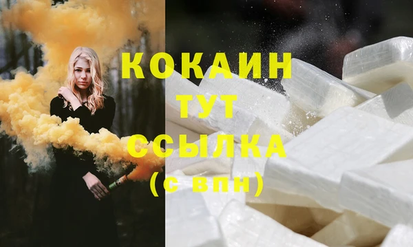 прущие грибы Осинники