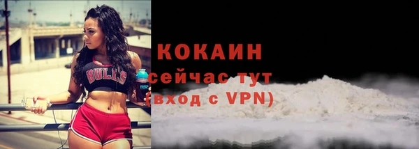 стаф Богородицк