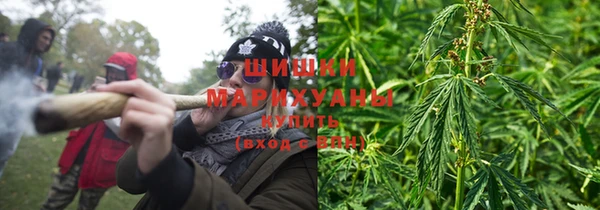 стаф Богородицк