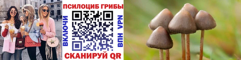Галлюциногенные грибы GOLDEN TEACHER  где купить наркотик  Ветлуга 